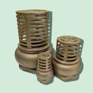 D Brass Foot Valve