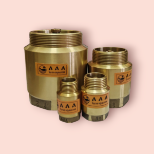 AAA Brass Spring Check Valve